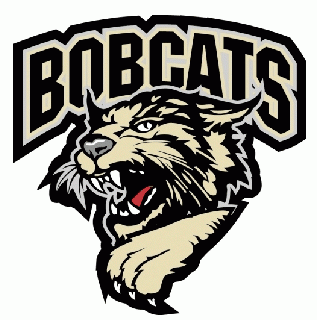 bismarck bobcats 2006-pres primary logo iron on transfers for T-shirts